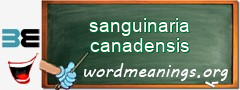 WordMeaning blackboard for sanguinaria canadensis